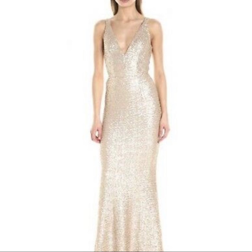 Dress the Population Sequins Dress